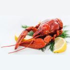 King Lobster
