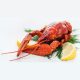 King Lobster