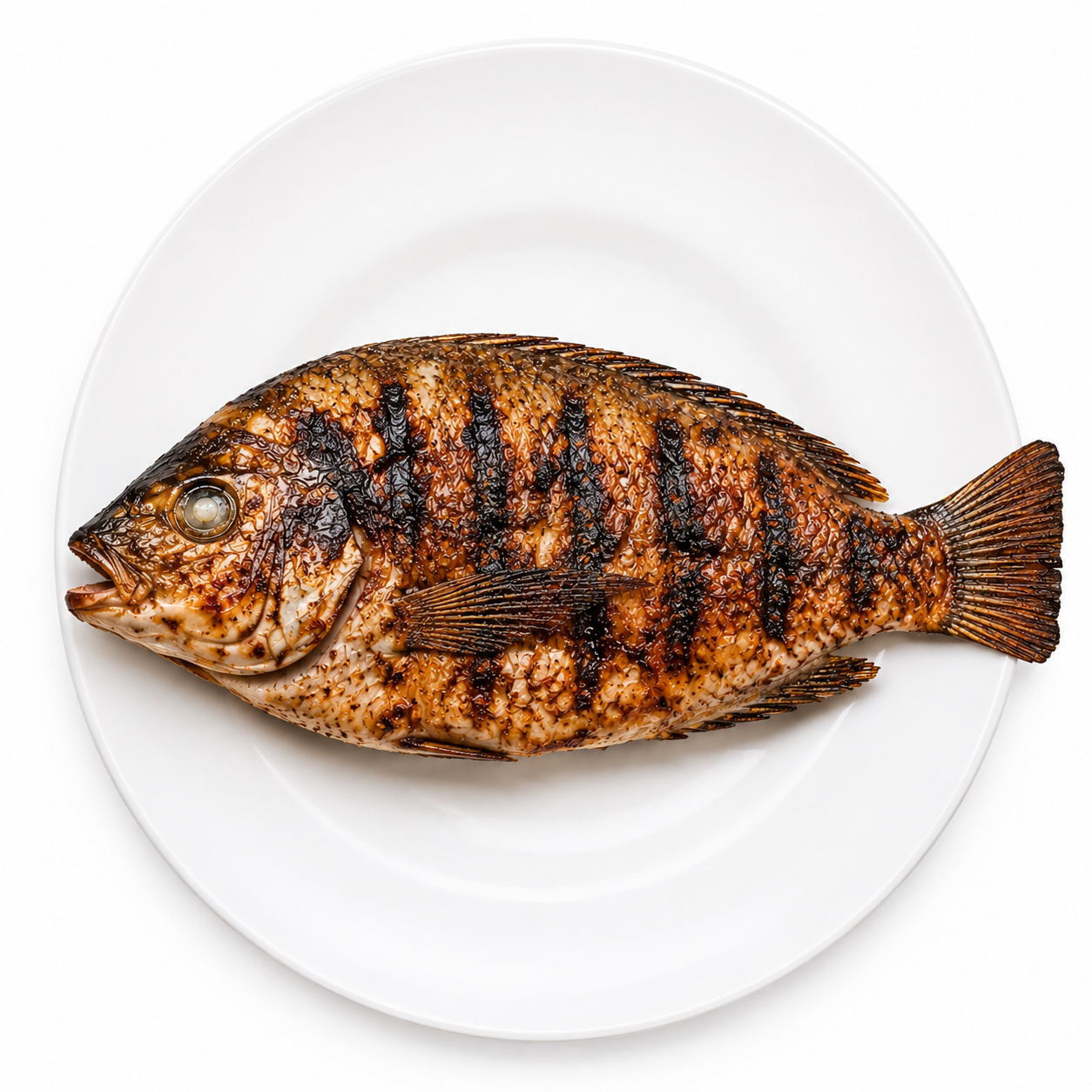 Grilled Fish & Seafood Specials